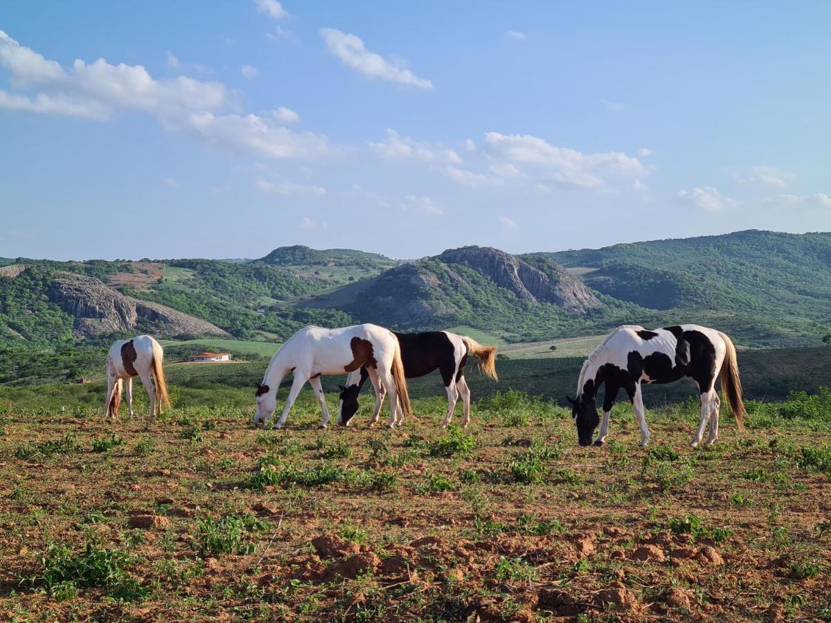 فندق Serra de São Bentoفي  Rancho Trevo المظهر الخارجي الصورة